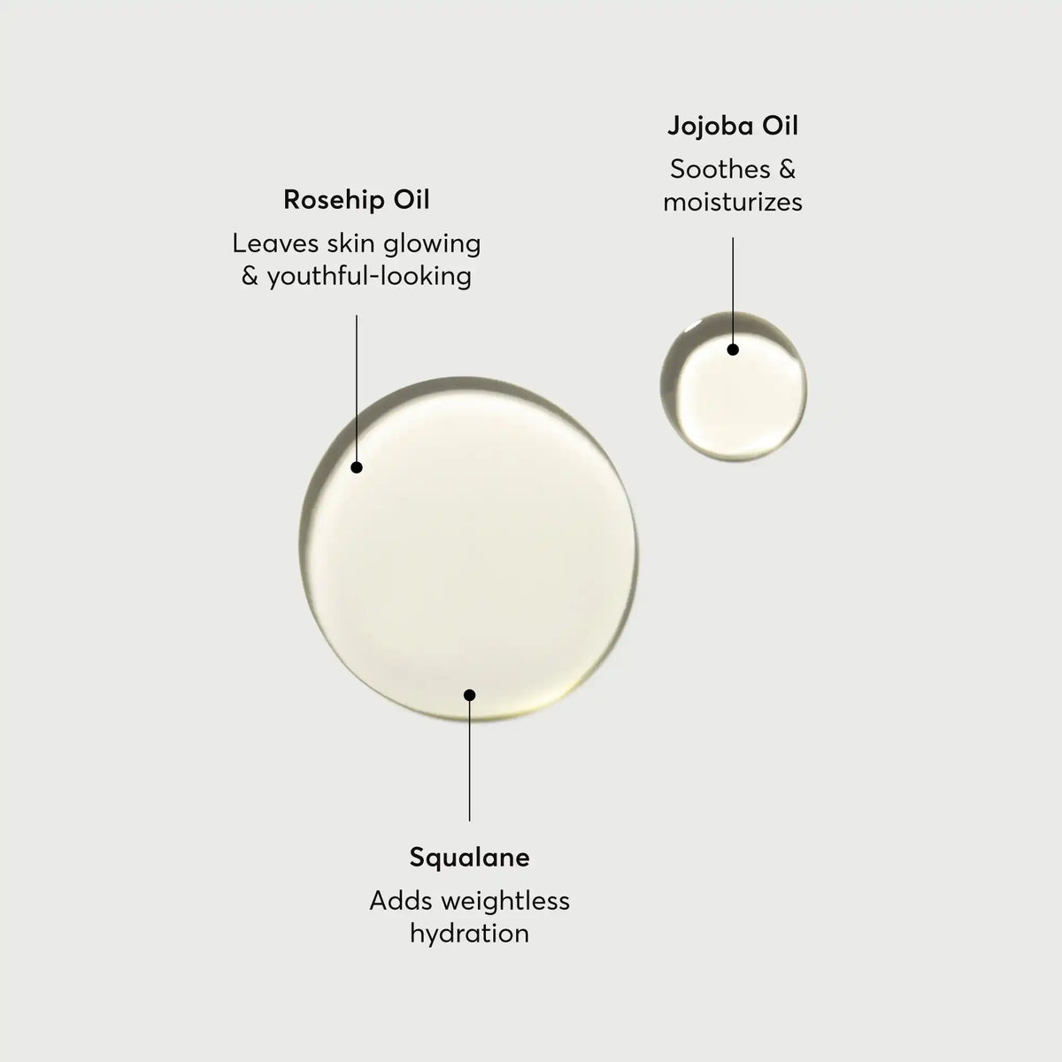 the-glow-getter-body-oil-i0 NATR-10115-Alt-Images-The-Glow-Getter-Body-Oil-01.webp