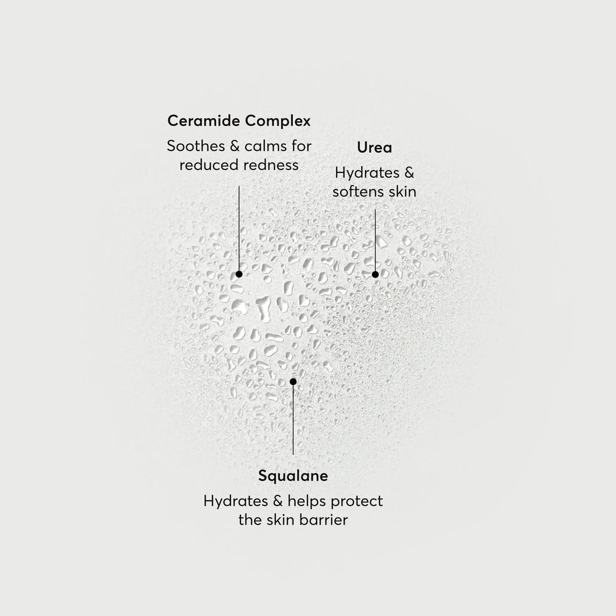 barrier-bounce-bi-phase-mist-k2 NATR-10167-Alt-Images-Barrier-Bounce-Bi-Phase-Toner-Mist_01.webp