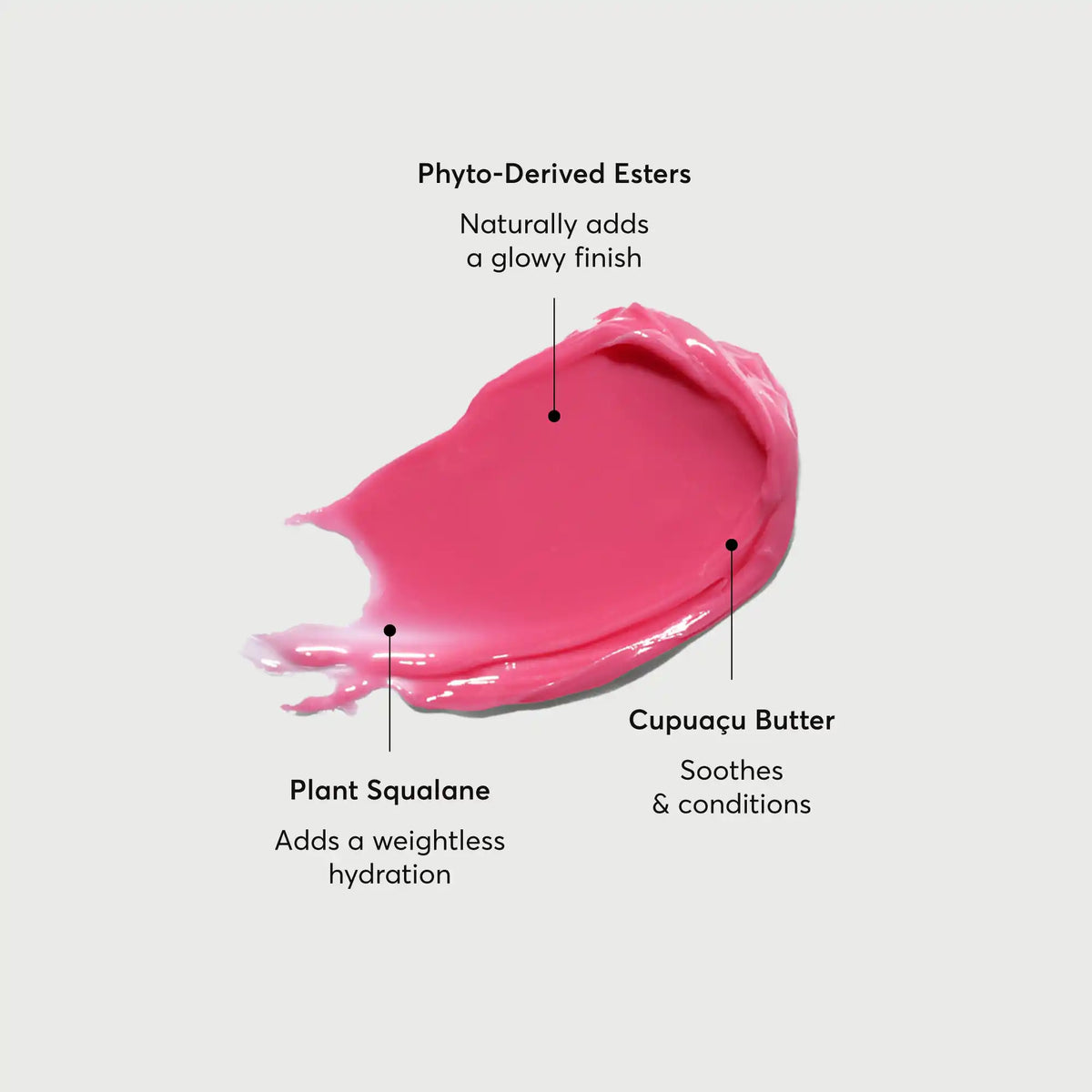 phyto-glow-lip-balm-camellia-e8 NATR-60075-Alt-Images-Phyto-Glow-Lip-Balm-Camellia-01.webp